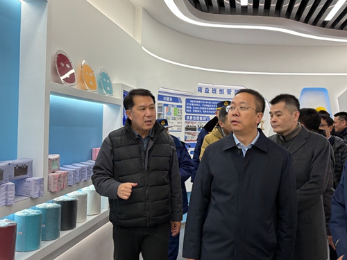 天津經(jīng)濟技術開發(fā)區(qū)黨委書記、管委會主任洪世聰一行赴東綸天津公司安全檢查和慰問